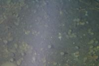 
DSC00235